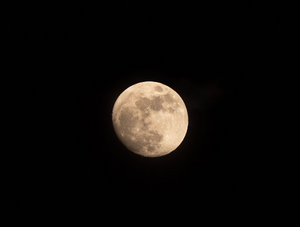 Enlèvement arbre urgence Tassin-la-Demi-Lune